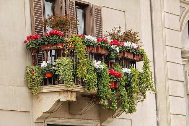 Balkon, květiny, truhlíky